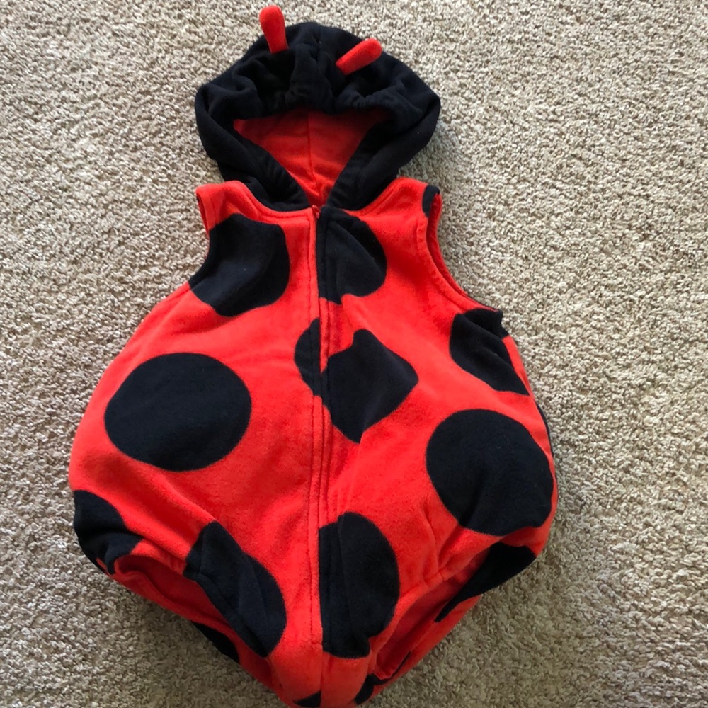 Ladybug Halloween costume